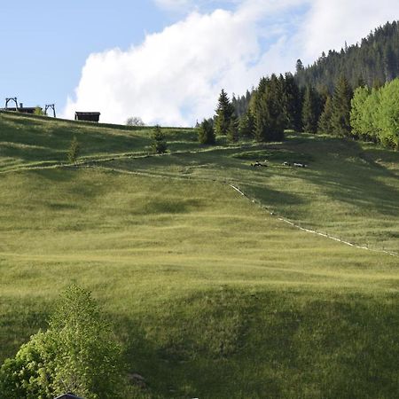 Bauernhaus Ramona Holzgau Exteriör bild